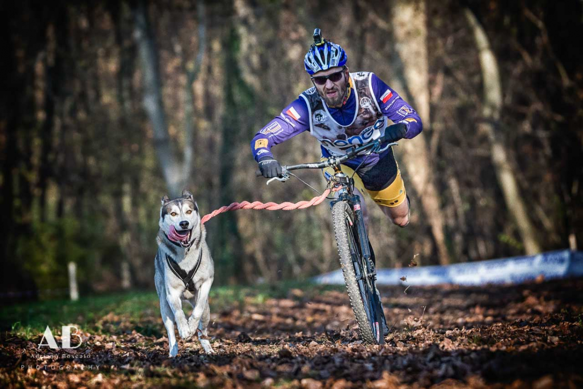 Sleddog terra 03